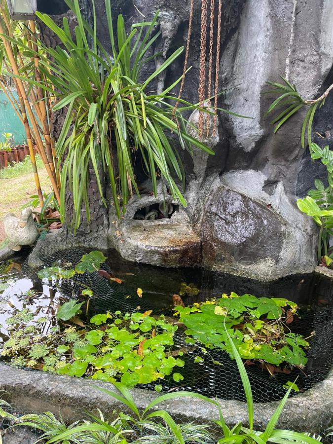 Rock Cascade Tourist Home & Cookery School Полоннарува Экстерьер фото